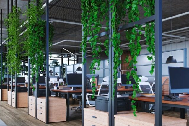 Modern office space with open layout and collaborative zones